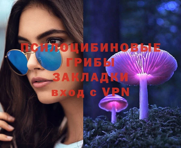 2c-b Аркадак